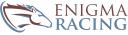 Enigma Racing logo